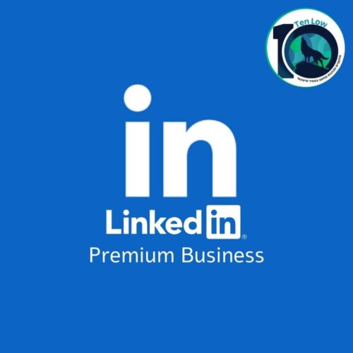 LinkedIn Premium Business